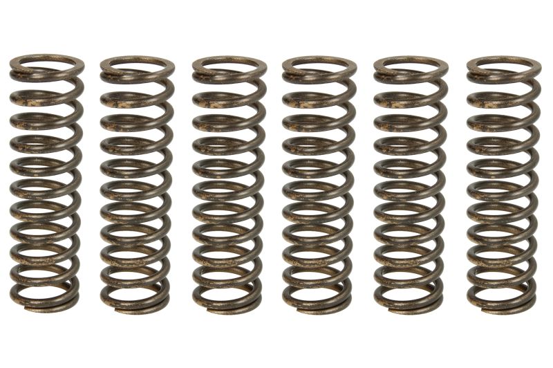 TRW ZF clutch springs APRILIA ETV 1200 CAPONORD 13-17, SMV 1200 DROSODURO 13-17