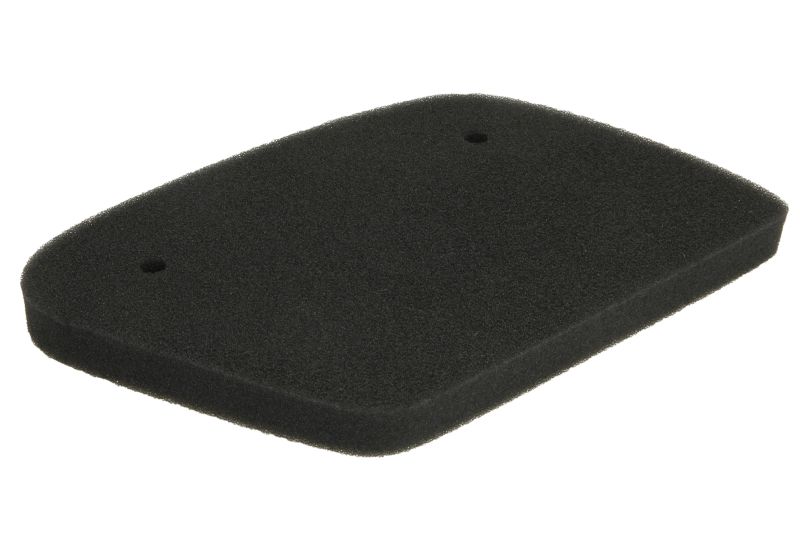Levně RMS vzduchový filtr APRILIA LEONARDO 125, 150 ST, 125ST, 150 96-04 (AP8102582)