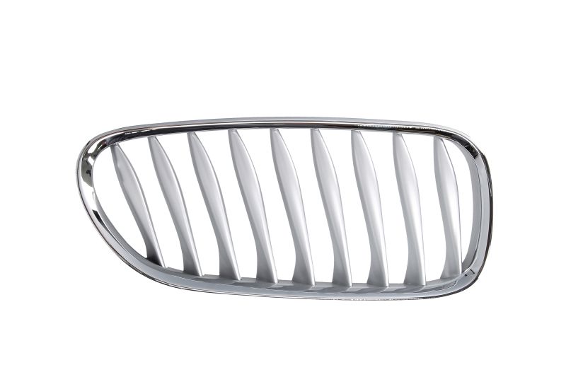 Desna prednja maska / Grill za vozilo BMW Z4 E85, E86
