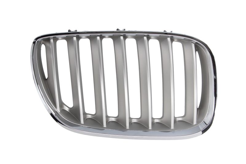 Desna prednja maska / Grill za vozilo BMW X5 E53
