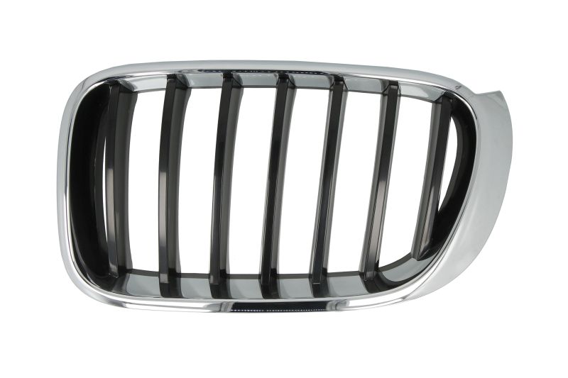 Lijeva prednja maska / Grill za vozilo BMW X3 F25, X4 F26