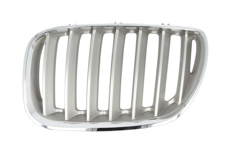 Lijeva prednja maska / Grill za vozilo BMW X5 E53