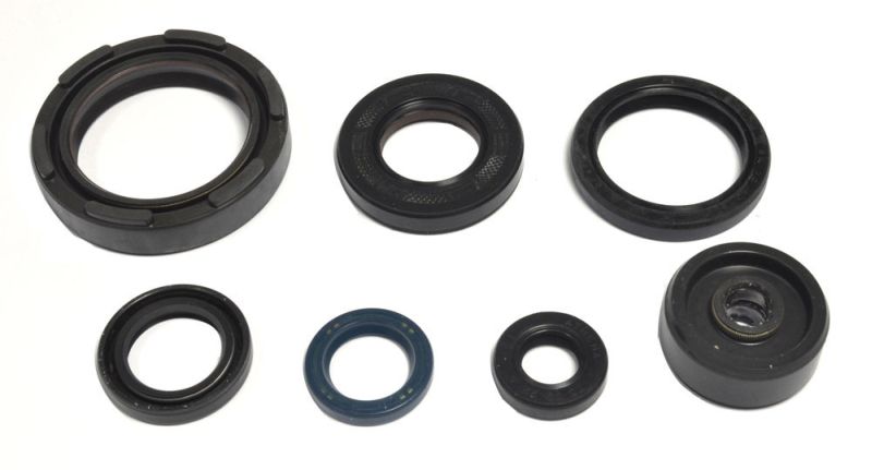 ATHENA kompletní sada těsnění, motor YAMAHA WR 250 90-97, YZ 250 2T 88-97 (B00K81QPM8, AB24-2019)