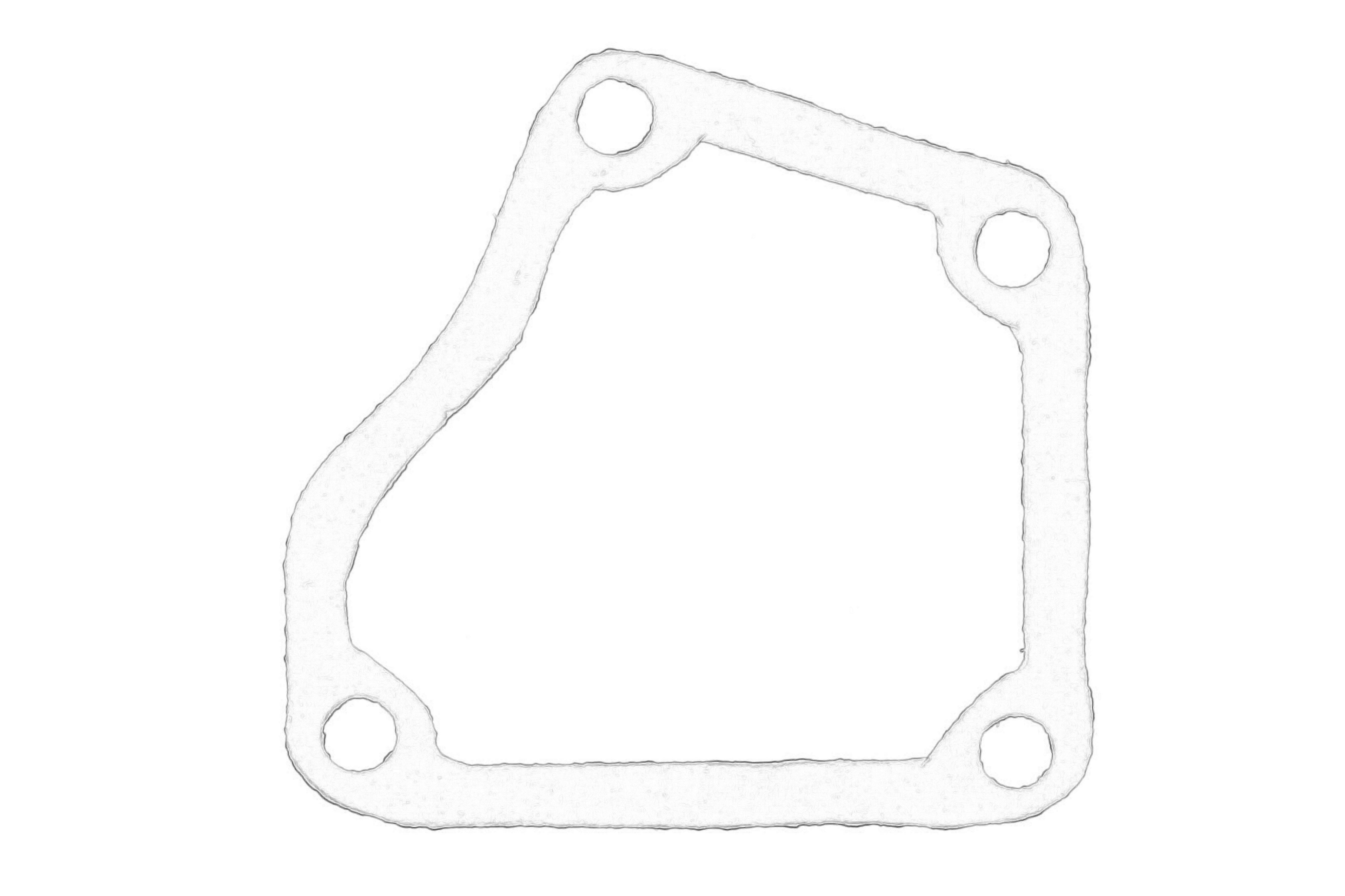 Прокладка термостата IVECO DAILY I, DAILY II, DAILY III, DAILY IV, DAILY V, DAILY VI 2.3D-3.0D 01.78-
