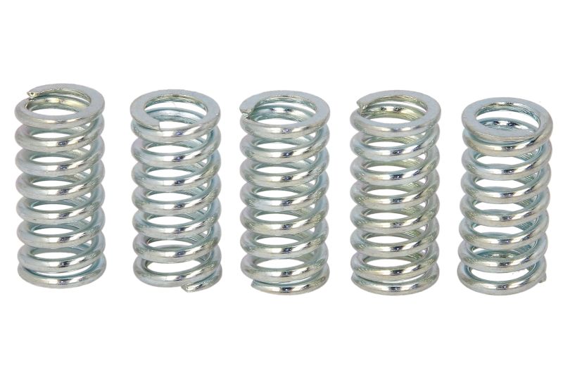 TRW ENGINE COMPONENT clutch spring set SUZUKI GN 125 94-01, GZ 125 (MARAUDER) 98-11, TU 125 XT 99 (B00684MUCS)