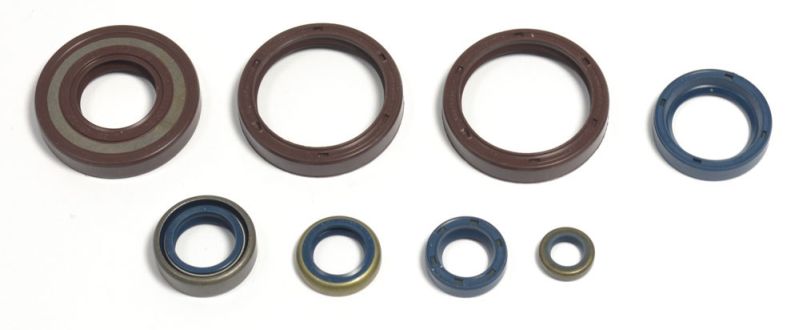 ATHENA kompletní sada těsnění, motor HUSQVARNA CR 250 99-04, WR 300, 250, 250 (ENDURO) 99-14 (B0068G0AFU)