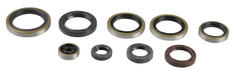 ATHENA sada motorového těsnění HUSABERG TE 300, 250 11-12, HUSQVARNA TC 250 KTM ENGINE 17, TE 300, 250 KTM ENGINE 14-16, KTM EXC 250, 300 (SIX DAYS), 300, 250 (SIXDAYS), 250 2T 04-16, FREERIDE 250 R 14-17, MXC 300 04-07, SX 250 03-16, XC 300, 250 06-18, X