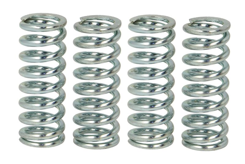 TRW MOTO spojková pružina - sada HONDA CB 600 F (HORNET), S F2 (HORNET S) 98-06, CBF 600 SA (ABS), S, NA (ABS), N 04-07, CBR 600 F 91-98, XR 650 R 00-07, SUZUKI GSF 600 S (BANDIT), (BANDIT) 94-04, GSX 750, 750F, 600F 98-06 (B00684MX1G)