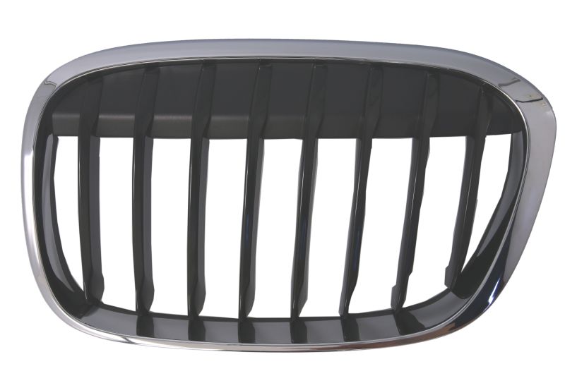 Lijeva prednja maska / Grill za vozilo BMW X1 F48