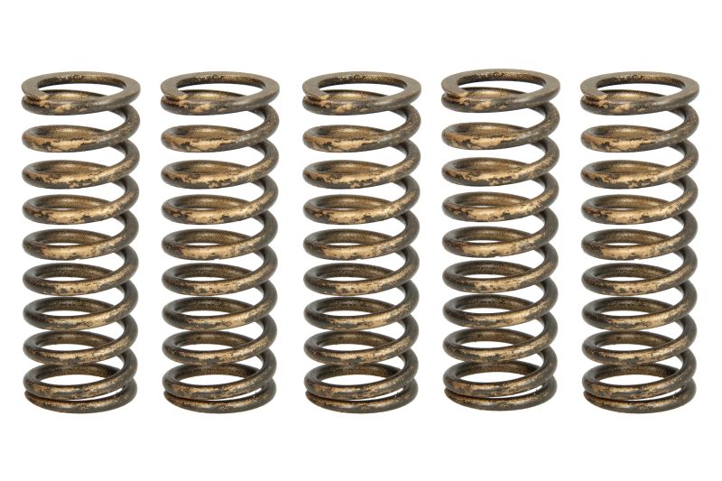 TRW ENGINE COMPONENT spojková pružina - sada HONDA CRF 250 R 18-22 ( )