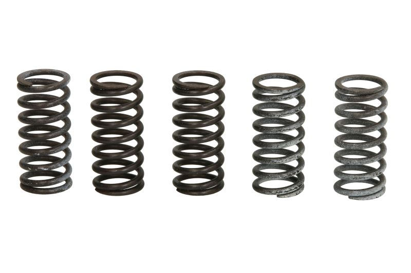 TRW ENGINE COMPONENT spojková pružina - sada HONDA CBR 250 RA (ABS), RR, R 11-18, CRF 250 L RALLY, L 13-20 ( )