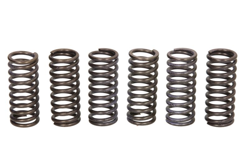 TRW ENGINE COMPONENT spojková pružina - sada DUCATI HYPERMOTARD 796 10-12, MONSTER 620 (DARK MD), (DARK DD), S IE 02-05