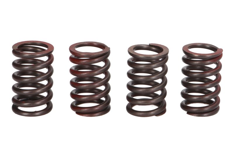 TRW MOTO spojková pružina - sada KTM DUKE 690 ABS, R 08-15, ENDURO 690 R, R ABS 08-16, SM 690 R 07-10, SMC 690 R ABS, R 07-16