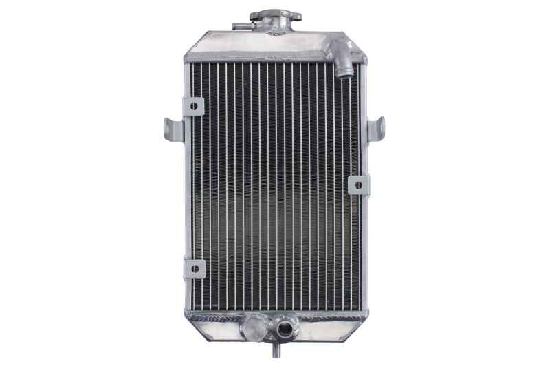 Radiator se potrivește: YAMAHA YFM 660 2001-2005