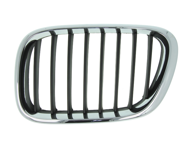 Lijeva prednja maska / Grill za vozilo BMW X5 E53