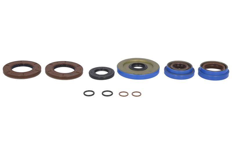 ALL BALLS rear differential seal kit CF MOTO, POLARIS ACE, BRUTUS, FOREST, HAWKEYE, RANGER, RZR, SPORTSMAN, WORKER