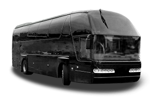 Set garnitura chiuloasa capac culbutori NEOPLAN Starliner N 516 din 2002 KW 301 CP 410 CMC 11967, Auto, Elring, 4x Stikere auto cu NEOPLAN