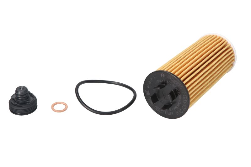 Filter ulja za vozilo BMW 1 (F70)