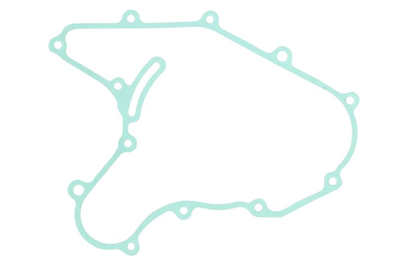 ATHENA těsnění víka alternátoru KTM DUKE 125, 200 11-16 (90130040000)